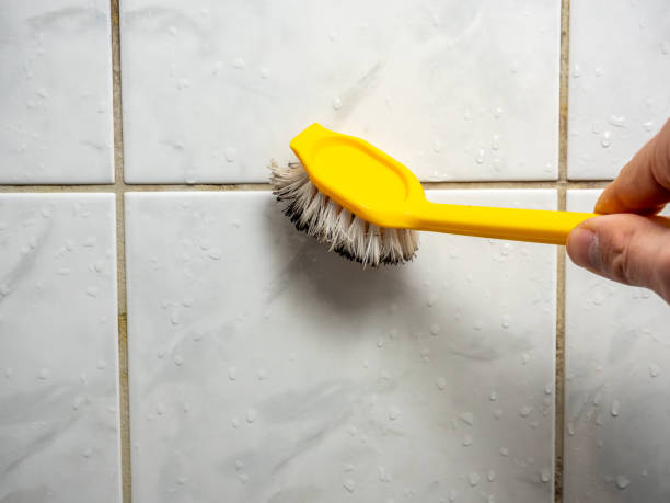 Best Mold Cleaning Services  in Dulce, NM