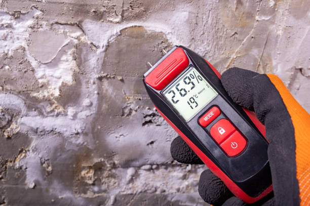 Best Mold Testing  in Dulce, NM